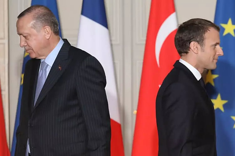 土耳其总统埃尔多安 法国总统马克龙
